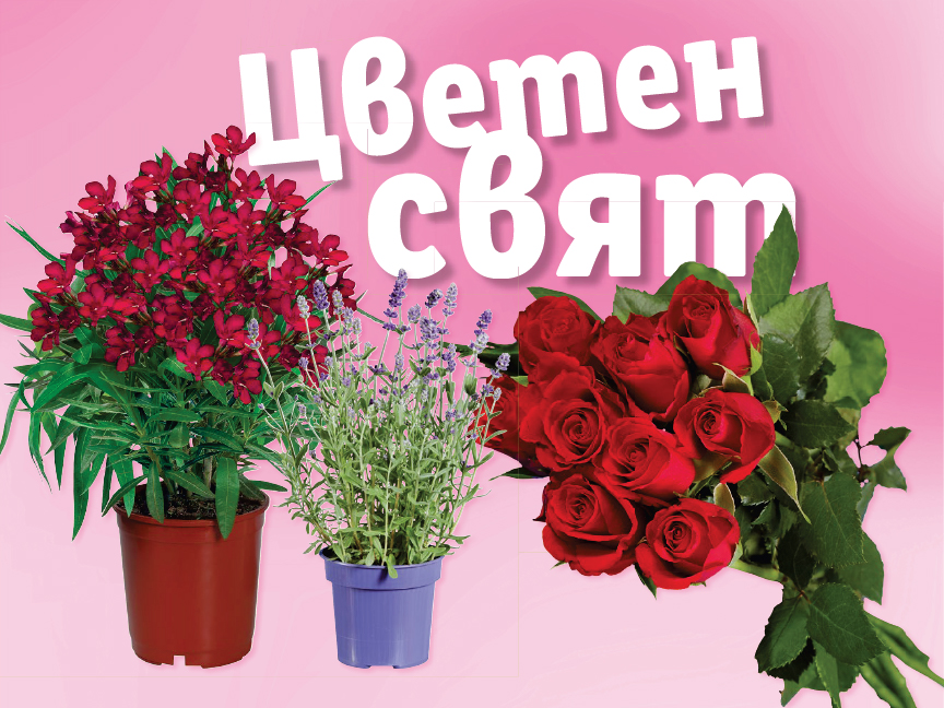 Червени рози, лавандула и други цветя за празника.