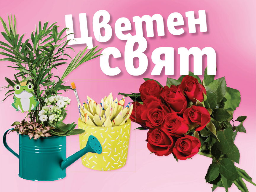 Цветя и саксийни растения в лейка и саксия за цветя.