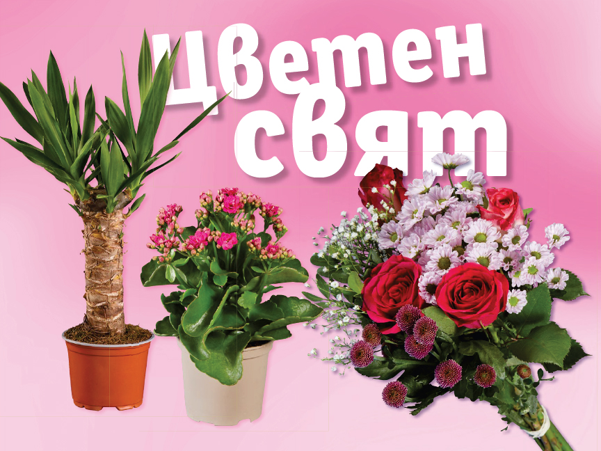 Цветя и саксийни растения.