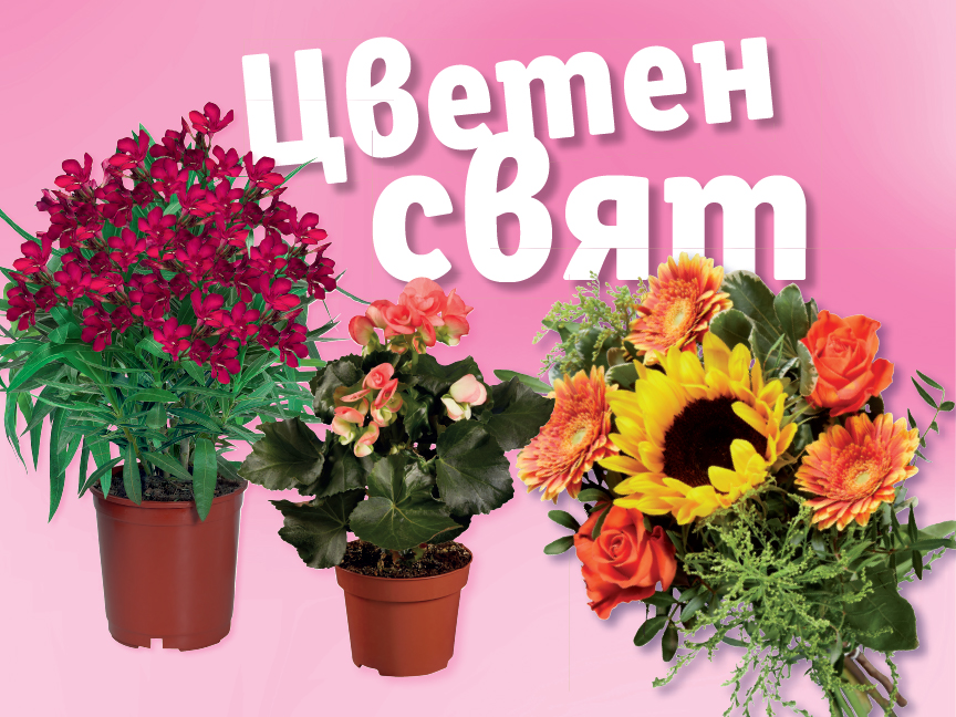 Цветя и саксийни растения за подарък.