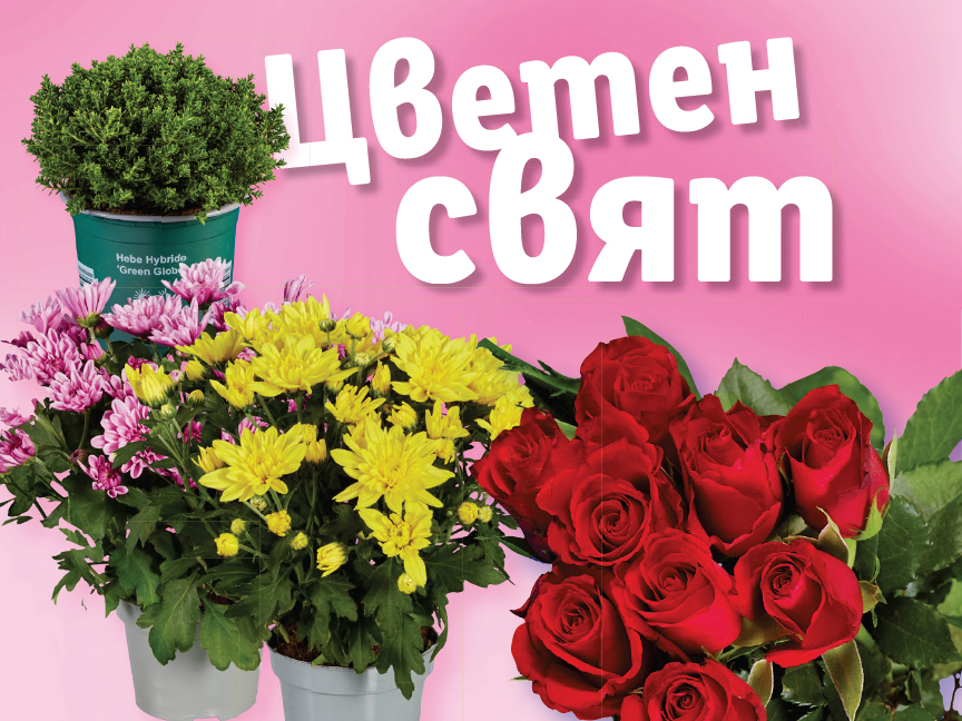 Цветя и растения за подарък: хризантеми, рози и хебе.