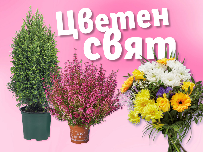 Различни растения и букет цветя на розов фон с надпис „Цветен свят“.