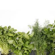 Босилек, копър и други билки.