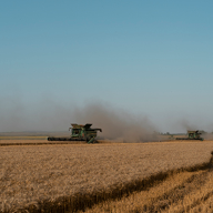 Две комбайни John Deere жънат зърнени култури в поле.