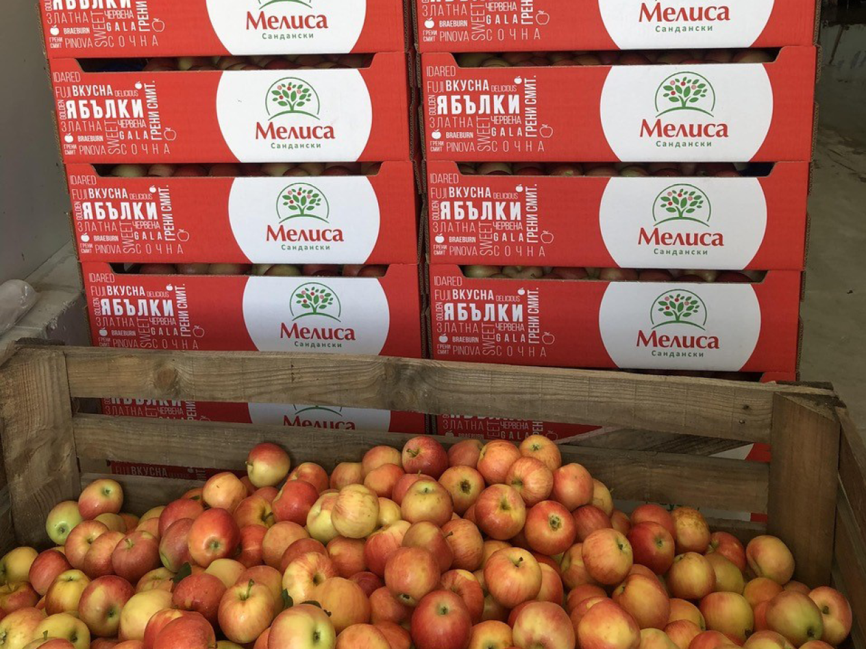 Ябълки Мелиса в каси.