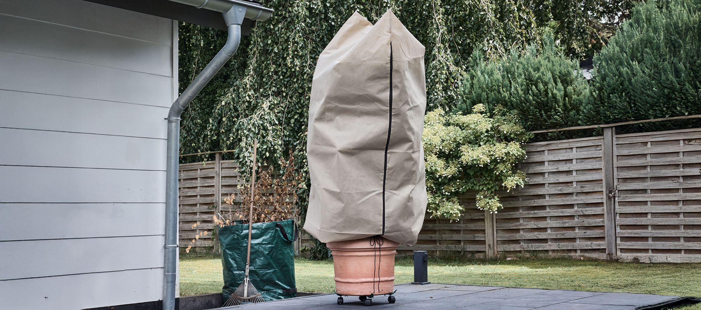 Саксийно растение със зимно защитно покритие на вътрешен двор до къща.