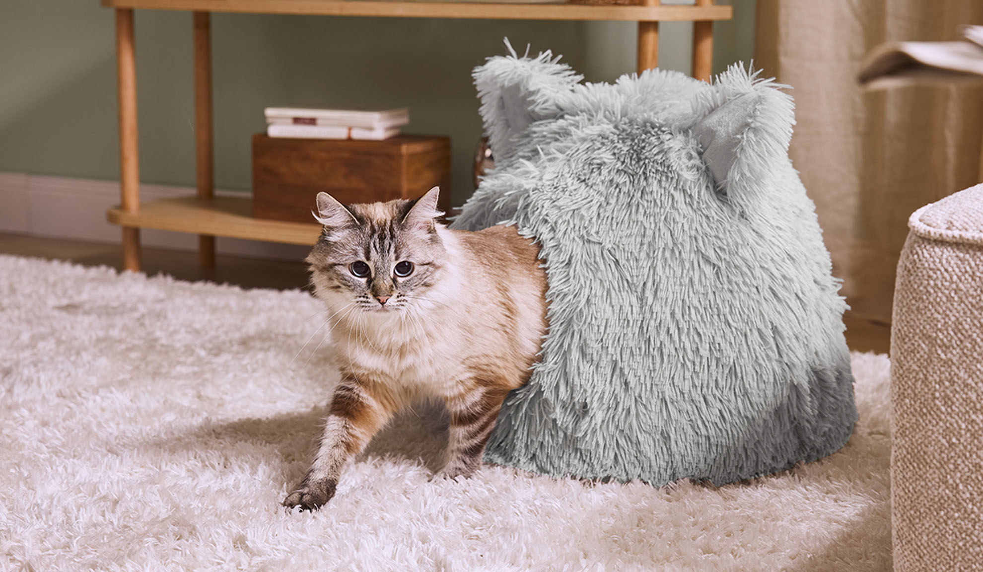 Котка излиза от сиво пухкаво легло върху бял килим.